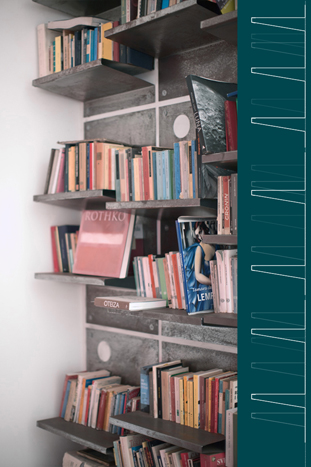 WALLPAPER BOOKCASE